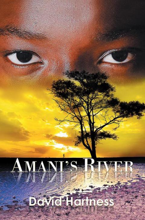 Cover image for book Amani's River
