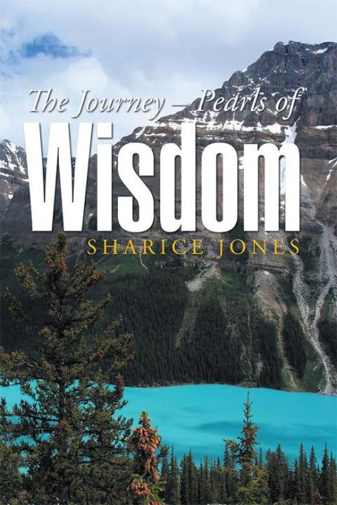 Cover image for book The Journey – Pearls of Wisdom