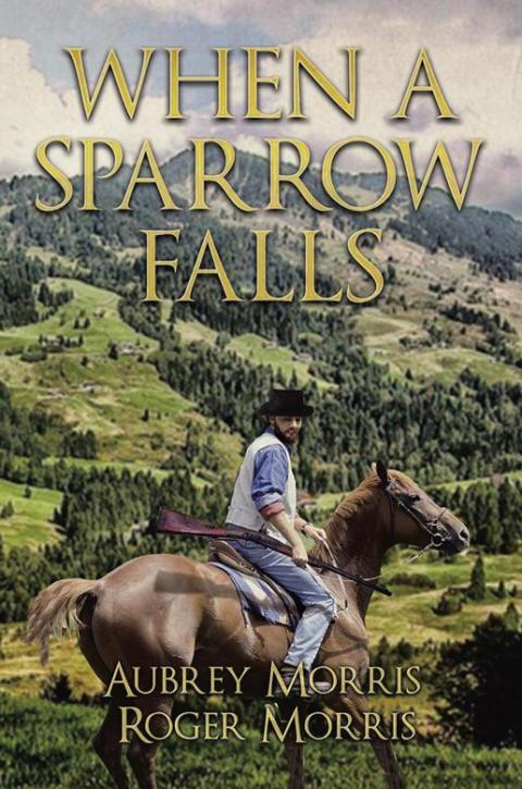 Cover image for book When a Sparrow Falls