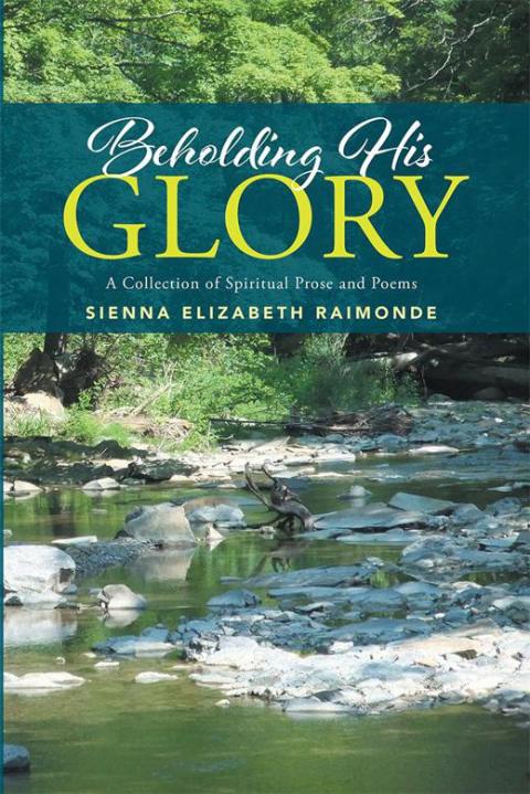 Cover image for book Beholding His Glory
