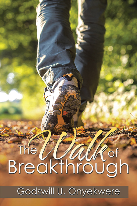 Cover image for book The Walk of Breakthrough
