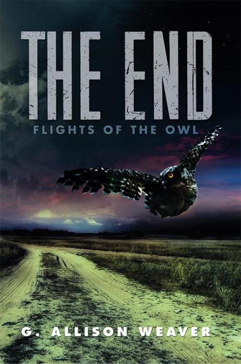Cover image for book The End