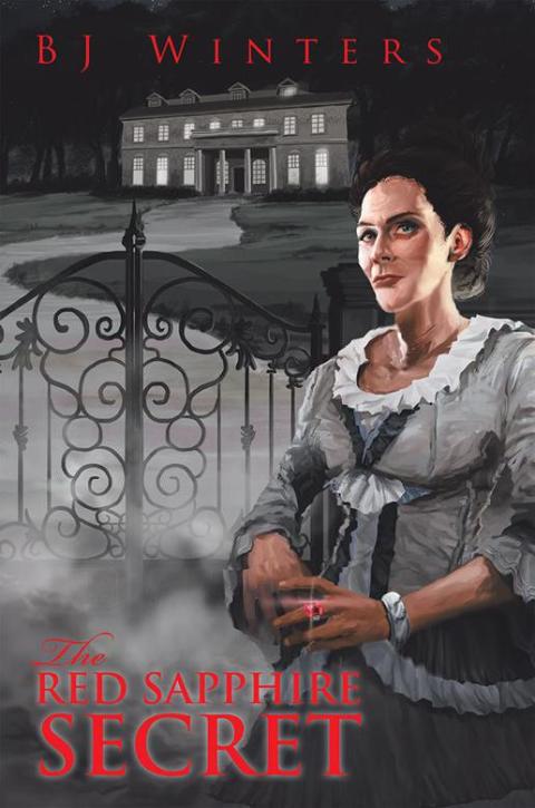 Cover image for book The Red Sapphire Secret