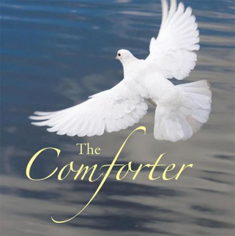 Cover image for book The Comforter