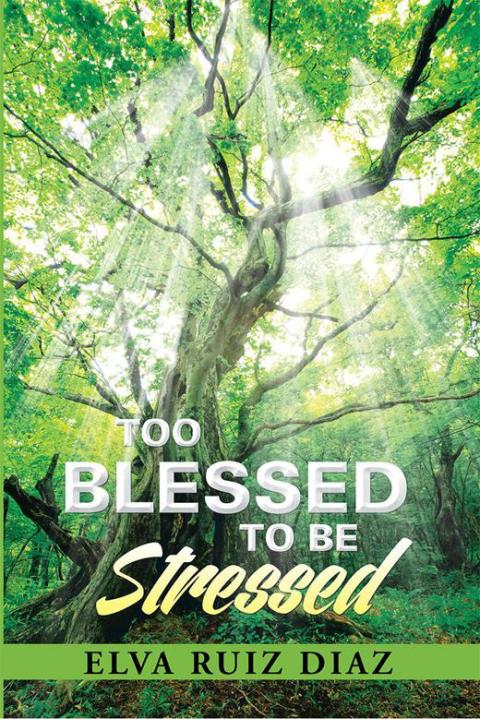 Cover image for book Too Blessed to Be Stressed