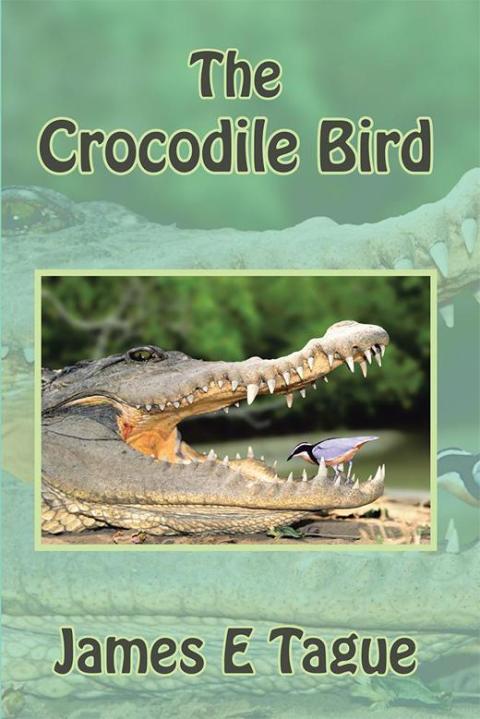 Cover image for book The Crocodile Bird