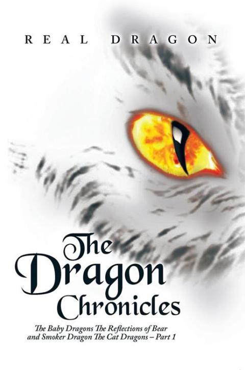 Cover image for book The Dragon Chronicles