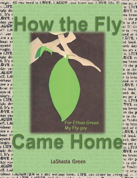 Cover image for book How the Fly Came Home