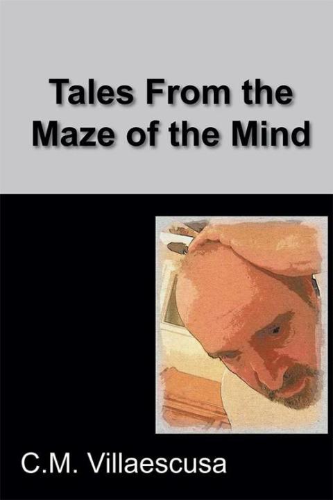 Cover image for book Tales from the Maze of the Mind