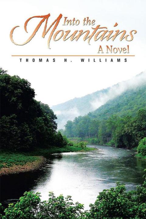 Cover image for book Into the Mountains
