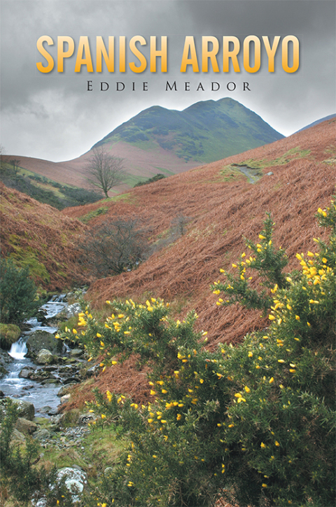 Cover image for book Spanish Arroyo