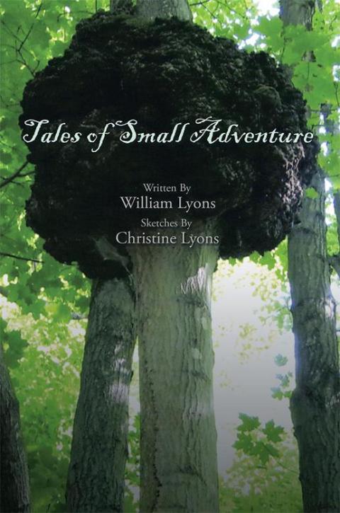 Cover image for book Tales of  Small Adventure