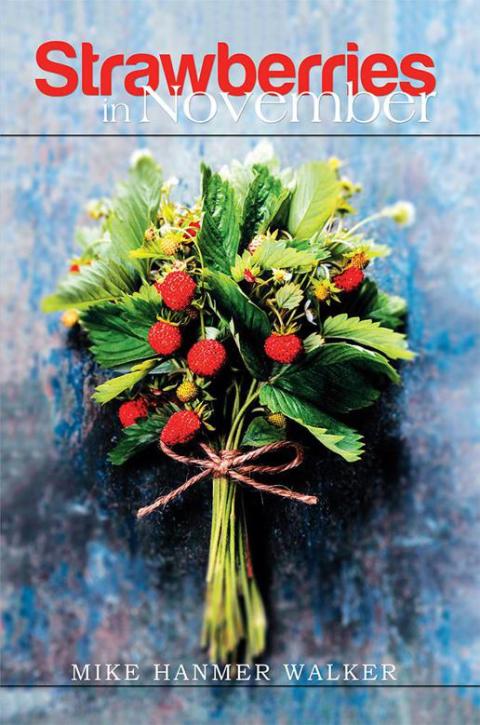 Cover image for book Strawberries in November