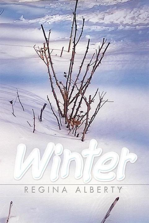 Cover image for book Winter