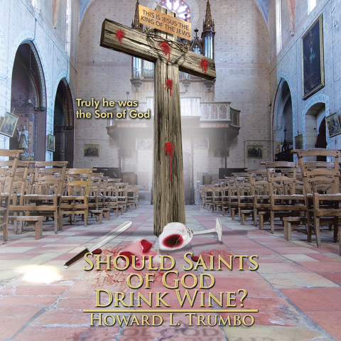 Cover image for book Should Saints of God Drink Wine?