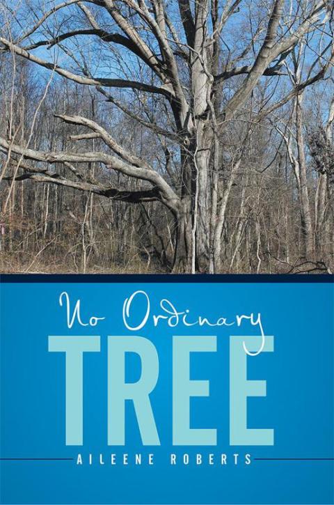 Cover image for book No Ordinary Tree