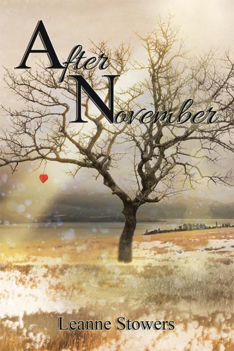 Cover image for book After November