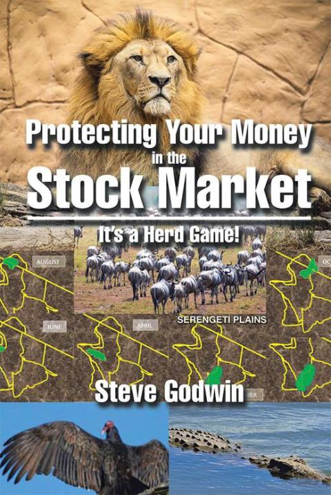 Cover image for book Protecting Your Money in the Stock Market