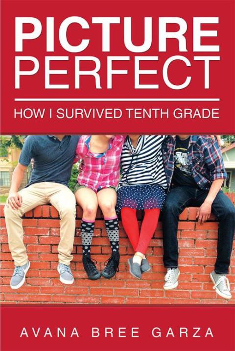 Cover image for book Picture Perfect