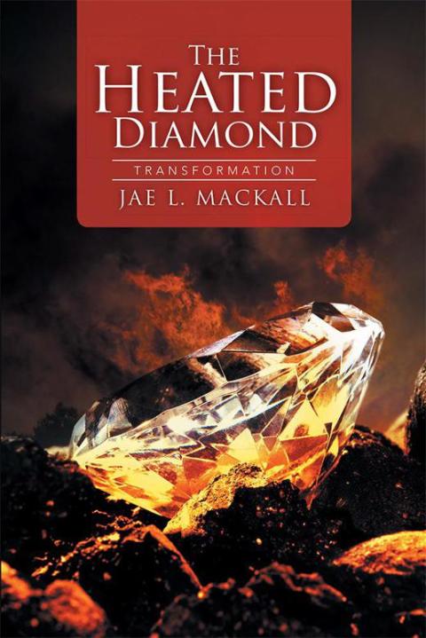 Cover image for book The Heated Diamond