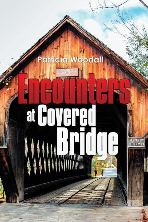 Cover image for book Encounters at Covered Bridge