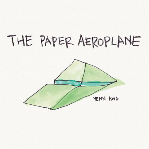 Cover image for book The Paper Aeroplane