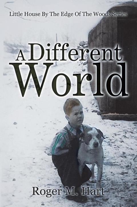 Cover image for book A Different World