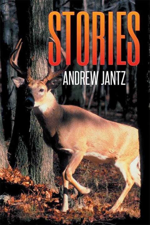 Cover image for book Stories