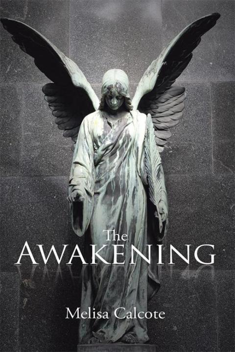 Cover image for book The Awakening