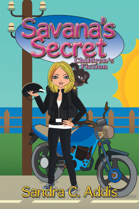 Cover image for book Savana’S Secret