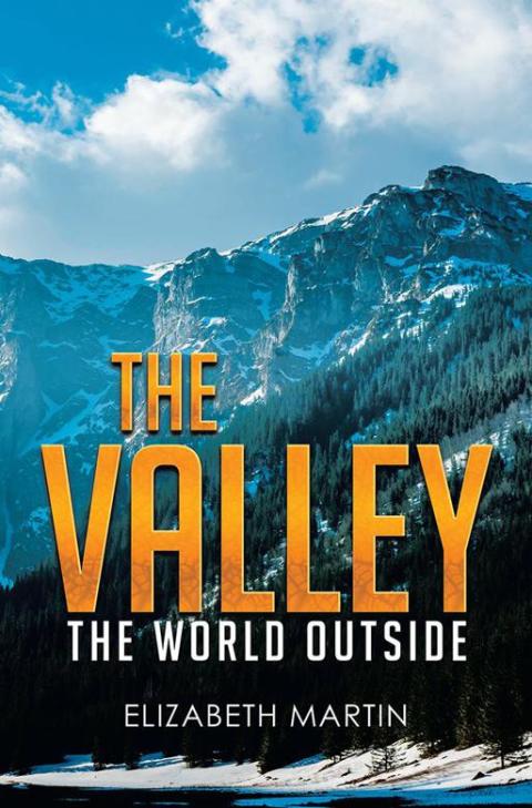 Cover image for book The Valley
