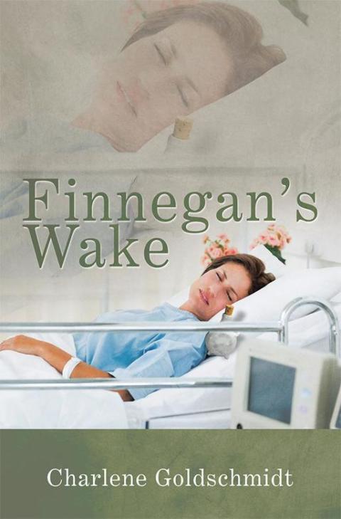 Cover image for book Finnegan’S Wake