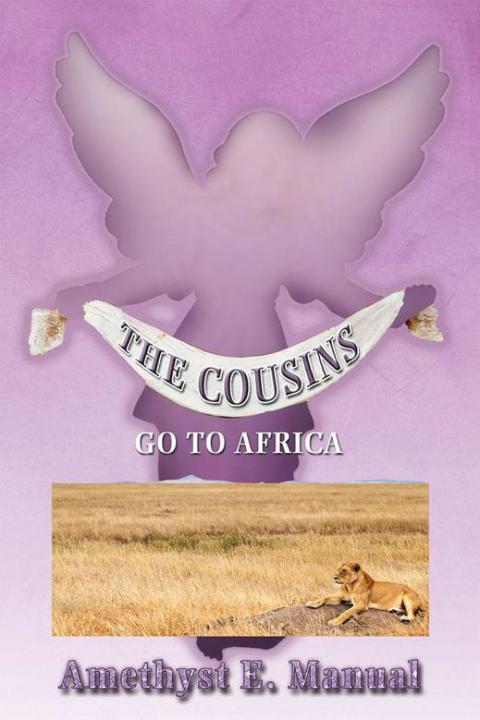 Cover image for book The Cousins