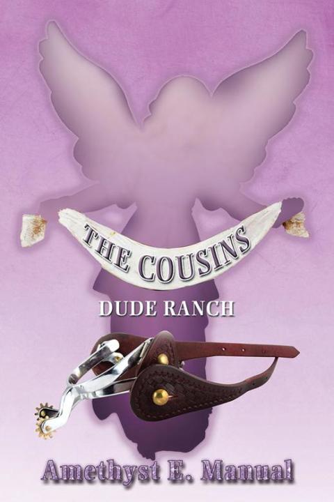 Cover image for book The Cousins