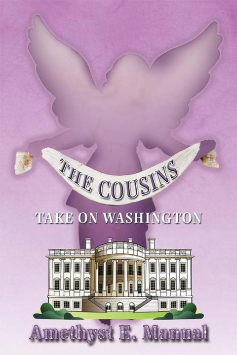 Cover image for book The Cousins