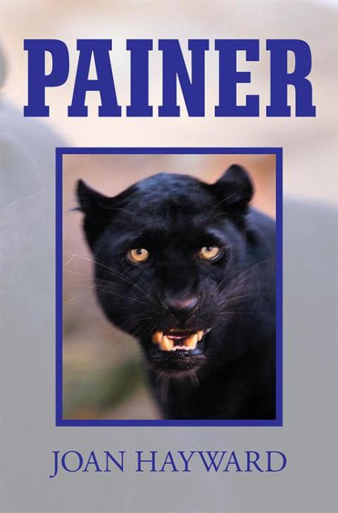 Cover image for book Painer