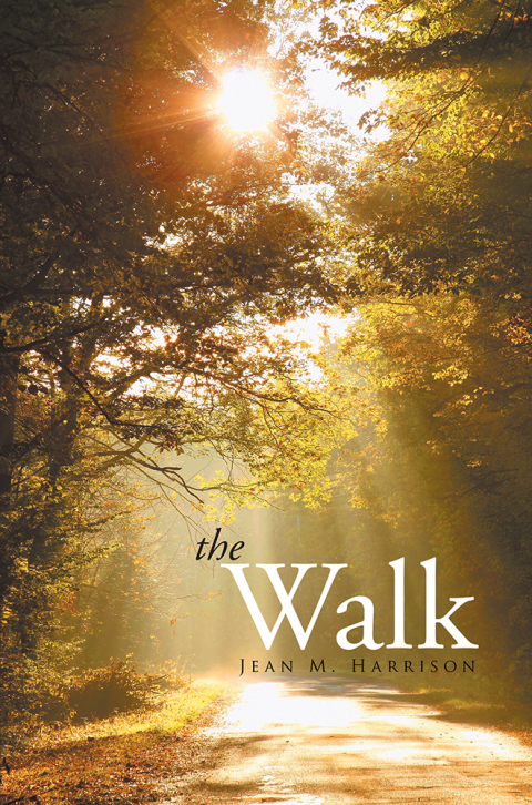 Cover image for book The Walk