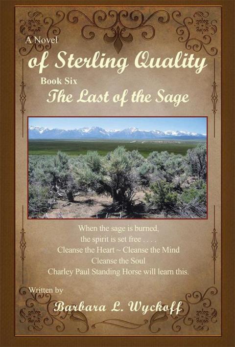 Cover image for book A Novel of Sterling Quality
