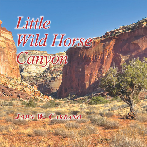Cover image for book Little Wild Horse Canyon