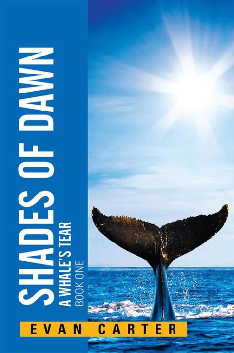 Cover image for book Shades of Dawn
