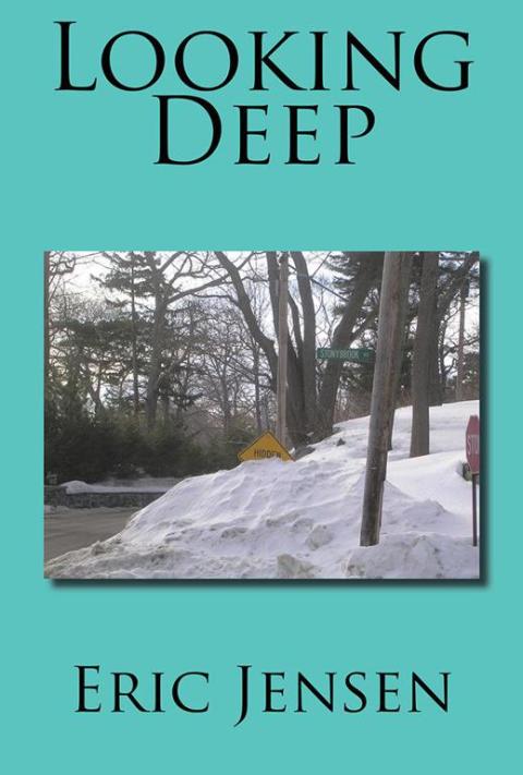 Cover image for book Looking Deep