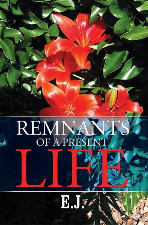 Cover image for book Remnants of a Present Life