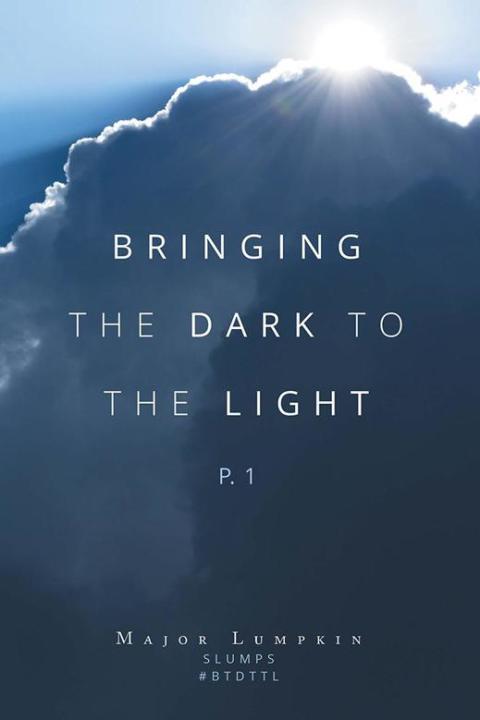 Cover image for book Bringing the Dark to the Light