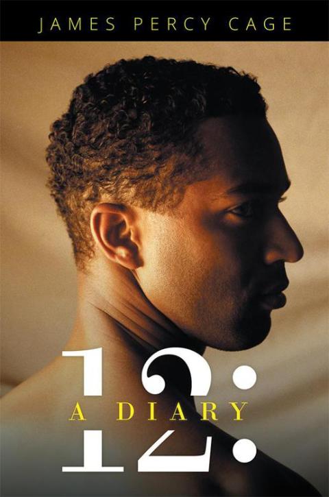 Cover image for book 12: a Diary