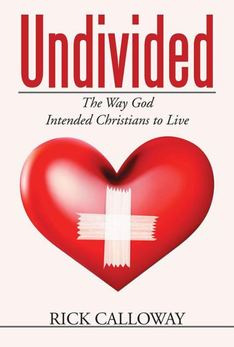 Cover image for book Undivided