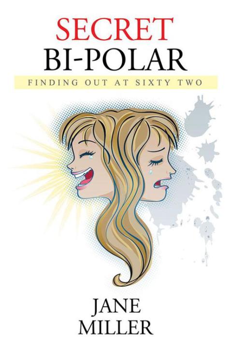 Cover image for book Secret Bi-Polar