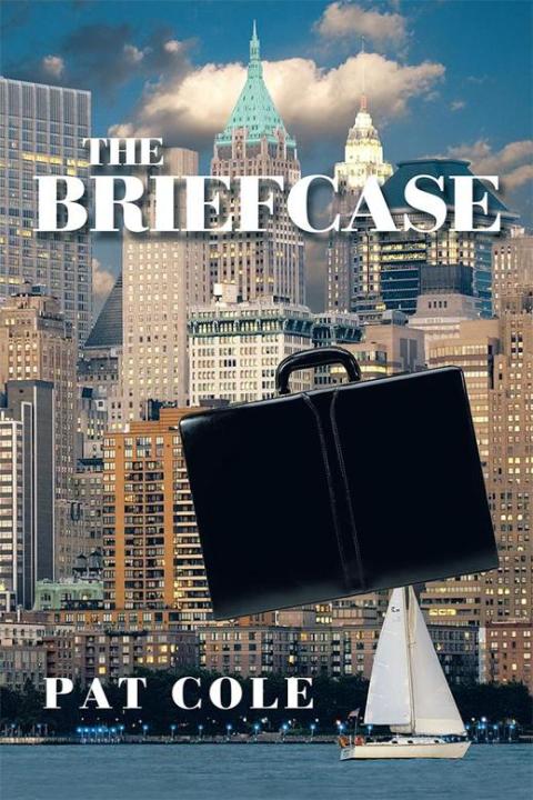 Cover image for book The Briefcase