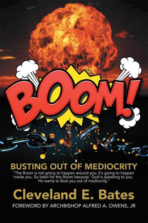 Cover image for book Boom!