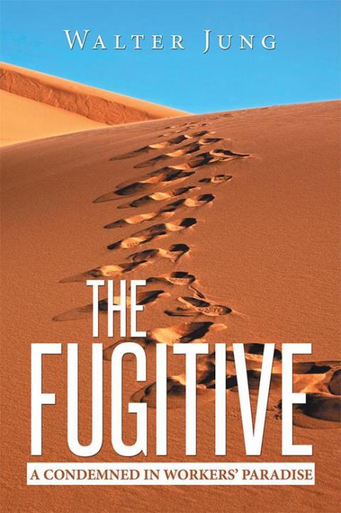 Cover image for book The Fugitive