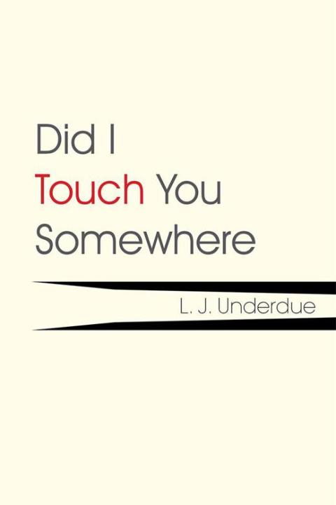 Cover image for book Did I Touch You Somewhere
